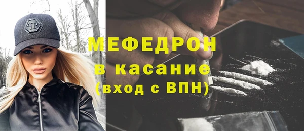 хмурый Пересвет