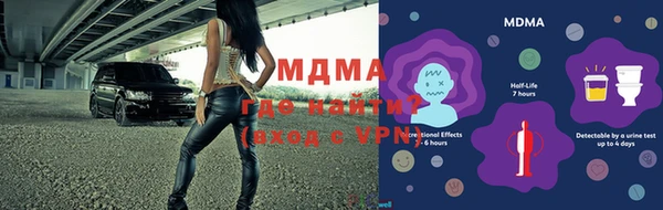 хмурый Пересвет