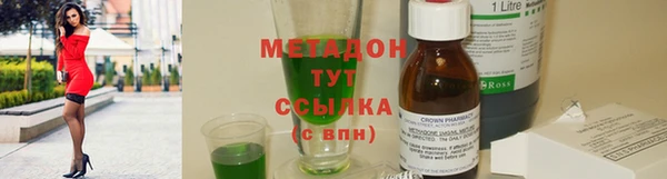 хмурый Пересвет