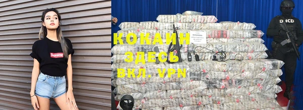 хмурый Пересвет