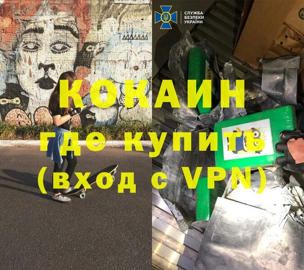 хмурый Пересвет