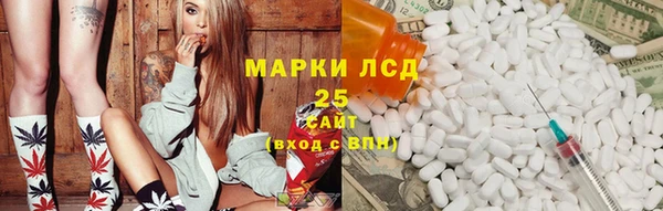 хмурый Пересвет