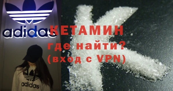 хмурый Пересвет