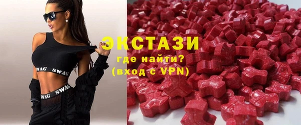 хмурый Пересвет